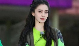 娱乐圈最新爆料杨颖是谁,娱乐圈再掀波澜