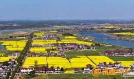 南昌安义县最新爆料