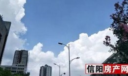 信阳最新爆料事件,揭秘事件背后惊人真相