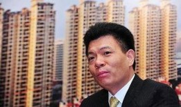 秦锋爆料价格最新消息,价格动态揭秘，市场走势一览无余