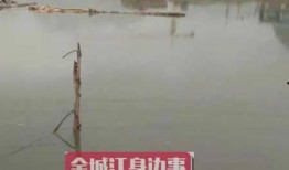 河池市网友爆料案件最新,最新案件细节曝光，真相令人震惊！