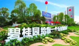 丹凤碧桂园爆料最新消息,揭秘项目进展与未来规划