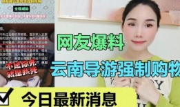 云南导游爆料案件最新,揭开旅游行业潜规则黑幕